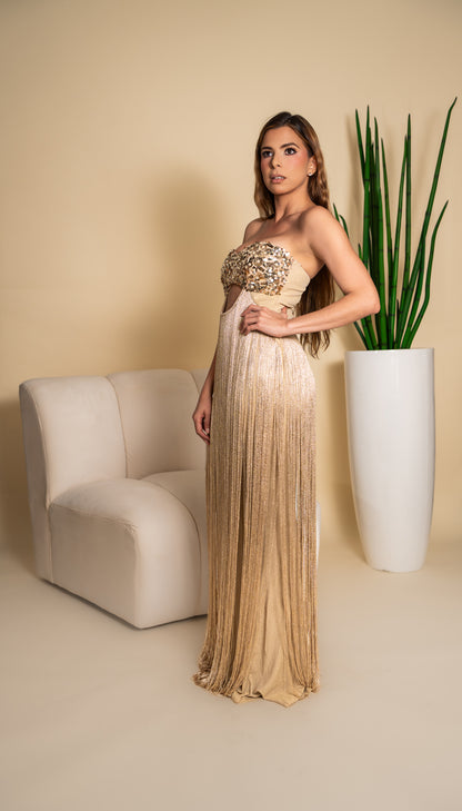 Gold Fringe Maxi Dress with Embroidered Bodice