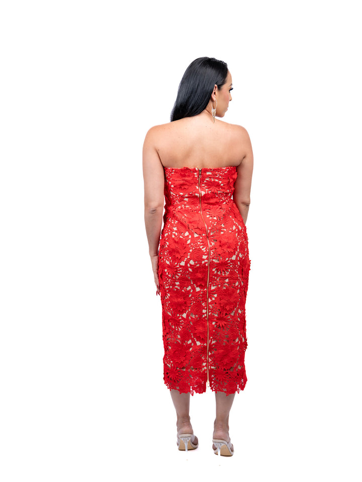 Red Lace Straple Dress